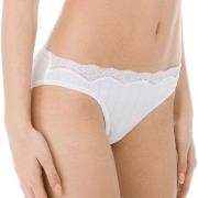 Calida Trosor Etude Toujours Low Cut Brief Vit bomull X-Small Dam