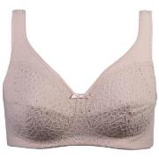 Damella BH Classic Soft Lace Bra Puder B 85 Dam