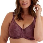 Swegmark BH Adamo Padded Soft Wired Bra Plommon C 80 Dam