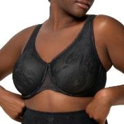 Triumph BH Wild Rose Sensation W01 Svart G 75 Dam