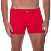 Bruno Banani Kalsonger Check Line 2.0 Shorts Röd polyamid Small Herr