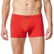 Bruno Banani Kalsonger Check Line 2.0 Shorts Röd polyamid Medium Herr
