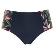 Missya Milano Bikini Maxi Brief Blå/Rosa 44 Dam