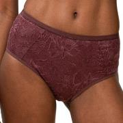 Triumph Trosor Amourette Charm Maxi Panty Vinröd 36 Dam