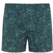 Jockey Kalsonger Woven Poplin Boxer Shorts Grön bomull Medium Herr