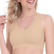 Anita BH Essentials Bralette Sand X-Large Dam