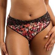 Sans Complexe Trosor Ava Fantasie Brief Svart/Rosa bomull X-Large Dam