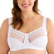 Swegmark BH Delight Soft Bra Vit polyamid C 95 Dam