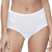 JBS of Denmark Trosor Bamboo Maxi Brief Vit X-Small Dam