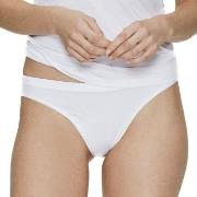 JBS of Denmark Trosor Bamboo Thong Vit X-Small Dam