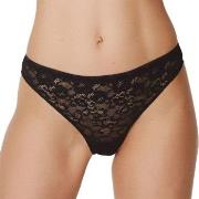 Marie Jo Trosor Color Studio Lace Thong Svart 36 Dam