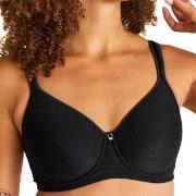 Swegmark BH Adamo Shape Padded Cup Wire Bra Svart polyamid B 80 Dam