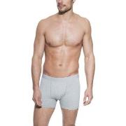 Bread and Boxers Boxer Brief Kalsonger 5P Grå ekologisk bomull X-Large...