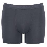 Sloggi Kalsonger 3P Men EverNew Short Grå bomull XX-Large Herr