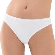 Mey Trosor Organic Cotton Mini Briefs Vit bomull Large Dam