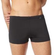 Bruno Banani Kalsonger Swim 2 0 Wave Line Svart polyamid XX-Large Herr