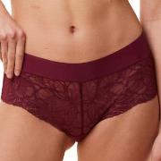 Triumph Trosor Body Make-Up Illusion Lace Shorty Vinröd 44 Dam