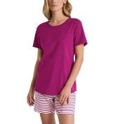 Calida Marine Dreams Short Pyjamas Rosa Mönstrad bomull Medium Dam