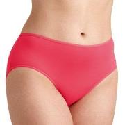 Miss Mary Soft Panty Trosor Korall 3XL Dam