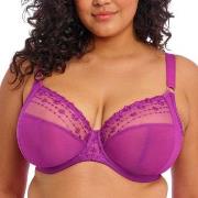 Elomi BH Matilda Underwired Plunge Bra Fuchsia/Lila H 85 Dam