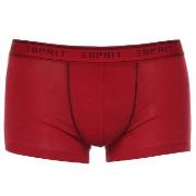 Esprit Kalsonger 3P Cole Hipster Shorts Blå/Röd bomull Medium Herr