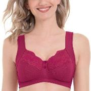 Anita BH Orely Support Bra Cherry nylon F 80 Dam