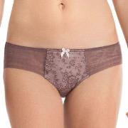 Rosa Faia Trosor Fleur Brief Berry 36 Dam