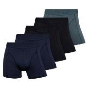 Claudio Kalsonger 5P Trunks Flerfärgad-2 Large Herr