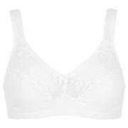Damella BH Felice Soft Bra Vit bomull D 95 Dam