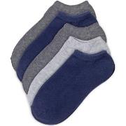 Pierre Robert Strumpor 5P Low Cut Socks For Kids Blå/Grå Strl 29/32 Ba...