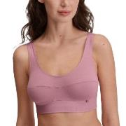 Calida BH Elastic Top Ljuslila bomull X-Small Dam