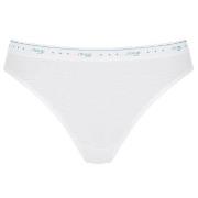 Sloggi Trosor 3P 24 7 100 Tai Briefs Vit bomull 48 Dam