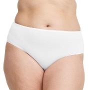 Swegmark Trosor Essence Midi Briefs Modal Vit modal Large Dam