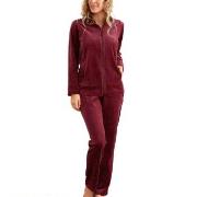 Damella Velour Plain Suit Mörkröd XX-Large Dam