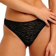 Freya Trosor Serenne Brief Svart X-Large Dam