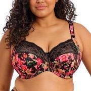 Elomi BH Morgan Banded Bra Blommig J 75 Dam