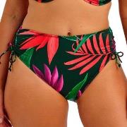 Fantasie Pichola High Waist Bikini Brief Blommig XX-Large Dam
