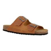 Axelda Andrea Kamel Strl 43