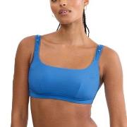 Triumph Palina Love By The Sea Soft Bikini Top Blå B 36 Dam