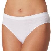 Schiesser Trosor Pure Rib Organic Cotton Rio Briefs Vit 42 Dam