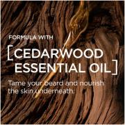 L’Oréal Paris Men Expert Barber Club Beard Oil 50 ml