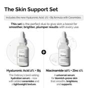 The Ordinary The Skin Support Set