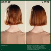 Aveda Volume Styling Cocktail (2 produkter)
