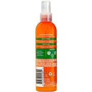 Cantu Shea Butter for Natural Hair Coil Calm Detangler 237ml