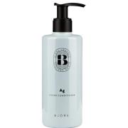 Björk Ag Silver Conditioner - 250 ml