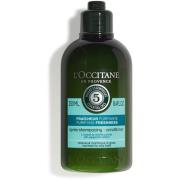 L'Occitane Aroma Revitalizing Fresh Conditioner 250 ml