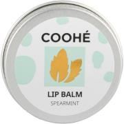 Lip Balm,  Coohé Läppbalsam