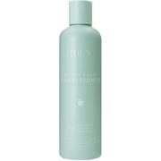 IDUN Minerals Volume Conditioner 250 ml