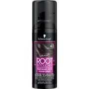 Schwarzkopf Root Retoucher Black - 120 ml