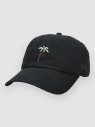 Blue Tomato Palm Tree Keps black